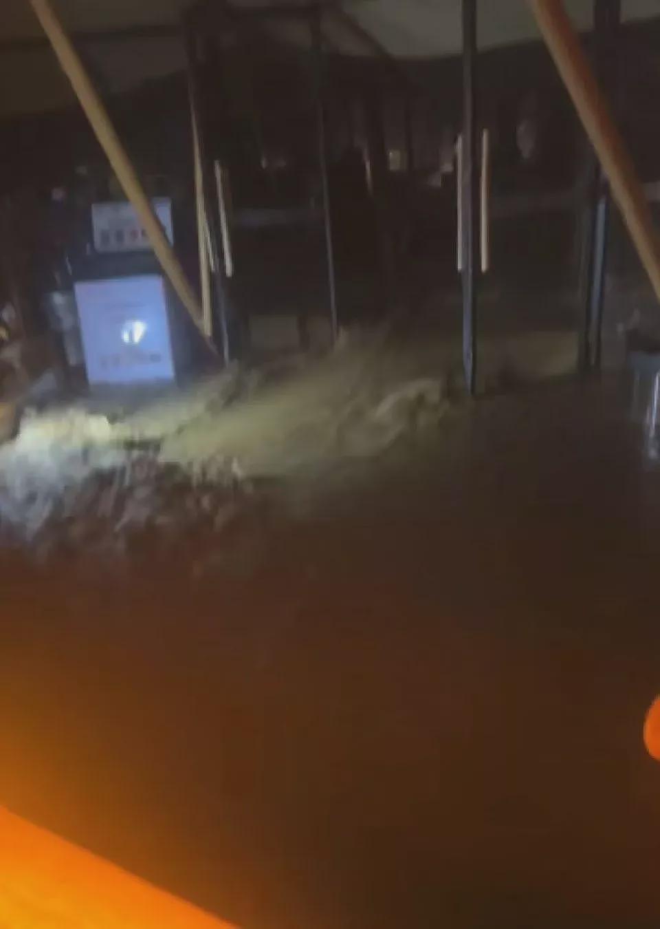 河北暴雨亲历者：水淹过颈部，6人抱一棵树5小时（组图） - 2
