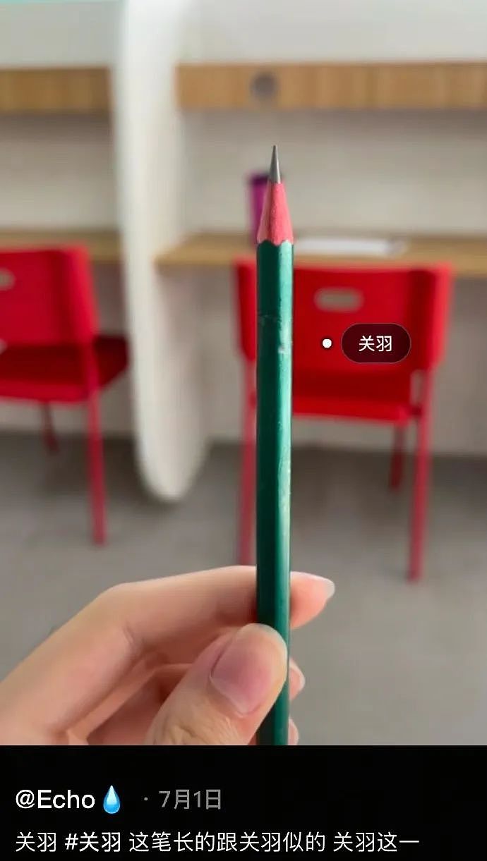【爆笑】LV5.5的龙虾包被网友吐槽上热搜？网友夺笋：这容易乍一看看成蟑螂？（组图） - 21