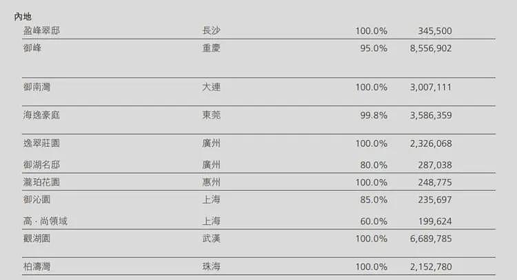 最低40万元一套,李嘉诚家族甩货大湾区400套房源!一套房价格仅约香港同面积首付,中介称“很多香港客户来买”(组图) - 4