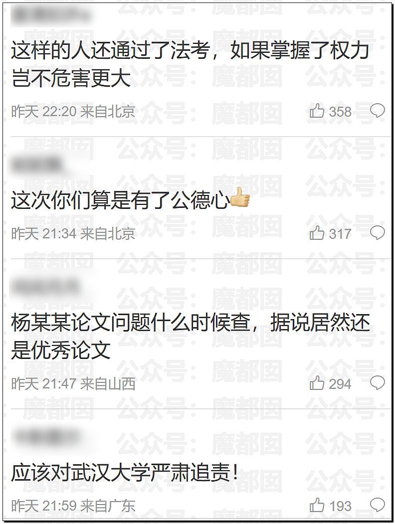 武大诬告案女主杨某和记者私密视频曝光！自私无耻下流（组图） - 29