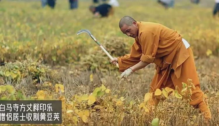 上任首日,少林寺新住持颁布多项新规!烧香免费,功德箱、扫码捐款全取消(组图) - 13