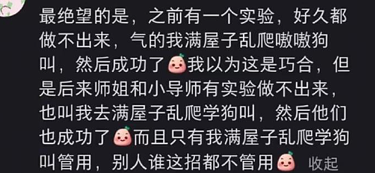 【爆笑】LV5.5的龙虾包被网友吐槽上热搜？网友夺笋：这容易乍一看看成蟑螂？（组图） - 42