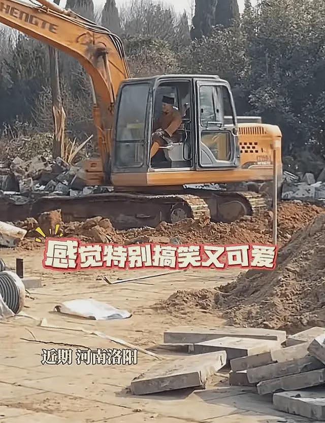 少林寺新住持:开挖机种麦子的方丈(组图) - 4