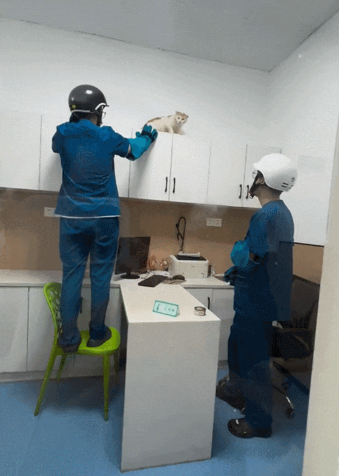 【宠物】鸡被偷走炖熟,民警一锅端走归还失主,网友们的神评笑疯了哈哈哈哈哈哈(组图) - 11