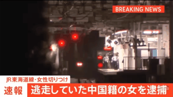 35岁中国女子在日本横滨车站砍人!月台监视器拍下恐怖溅血瞬间(视频/组图) - 1