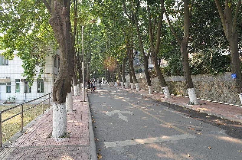想装空调的大学生,真的吃不了苦(组图) - 16