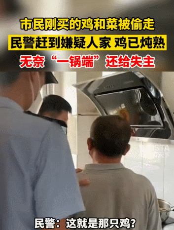 【宠物】鸡被偷走炖熟,民警一锅端走归还失主,网友们的神评笑疯了哈哈哈哈哈哈(组图) - 46