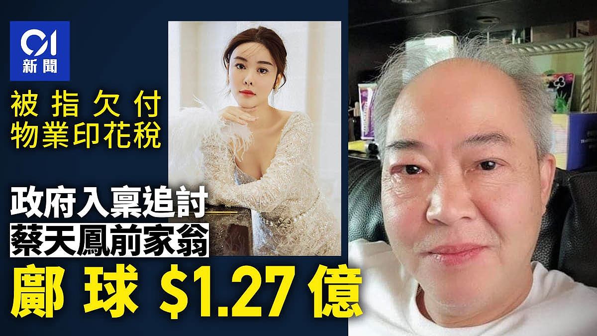 蔡天凤前家翁邝球，被指欠付物业印花税！连10倍罚款被追1.27亿元（组图） - 1