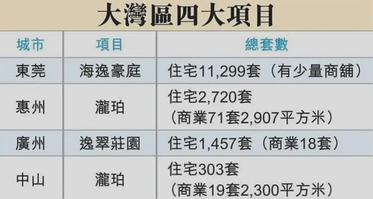 最低40万元一套,李嘉诚家族甩货大湾区400套房源!一套房价格仅约香港同面积首付,中介称“很多香港客户来买”(组图) - 2