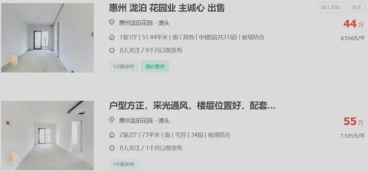 最低40万元一套,李嘉诚家族甩货大湾区400套房源!一套房价格仅约香港同面积首付,中介称“很多香港客户来买”(组图) - 3