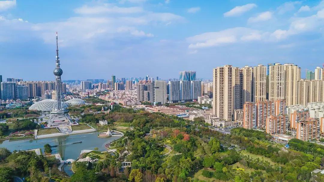 波及119个国家56亿人口,基孔肯雅热是种什么病?(组图) - 3