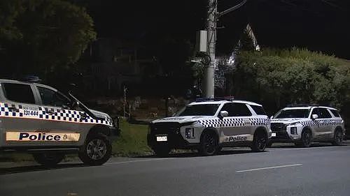 他用武士刀狂砍亲姐,警方三次电击无效后开枪!墨家庭惨剧震惊全城(组图) - 3