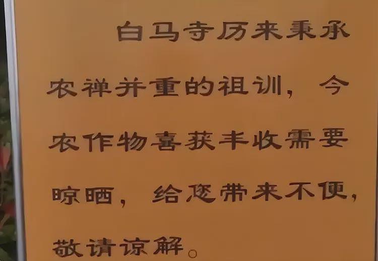 上任首日,少林寺新住持颁布多项新规!烧香免费,功德箱、扫码捐款全取消(组图) - 14