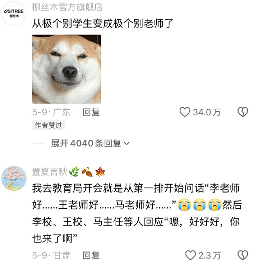 【爆笑】LV5.5的龙虾包被网友吐槽上热搜？网友夺笋：这容易乍一看看成蟑螂？（组图） - 9