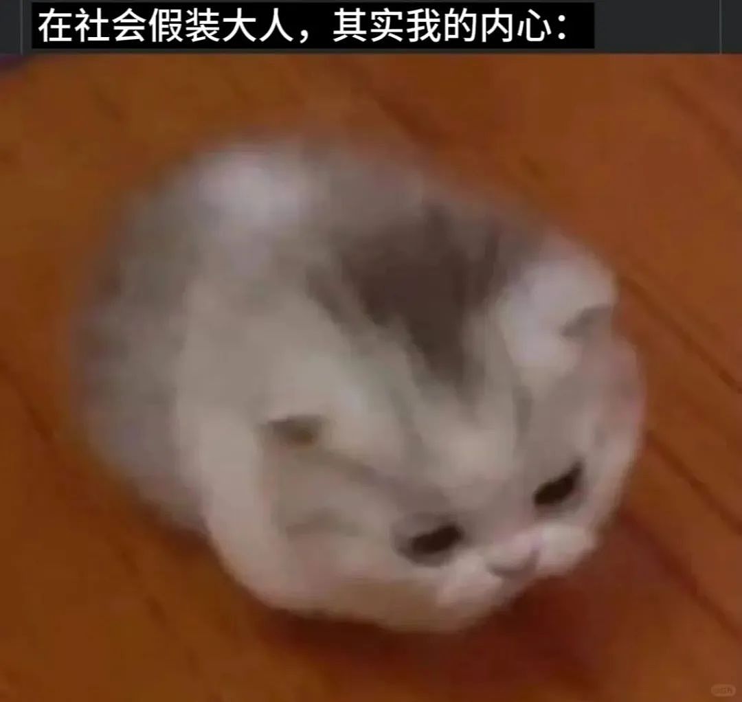 【宠物】鸡被偷走炖熟,民警一锅端走归还失主,网友们的神评笑疯了哈哈哈哈哈哈(组图) - 38