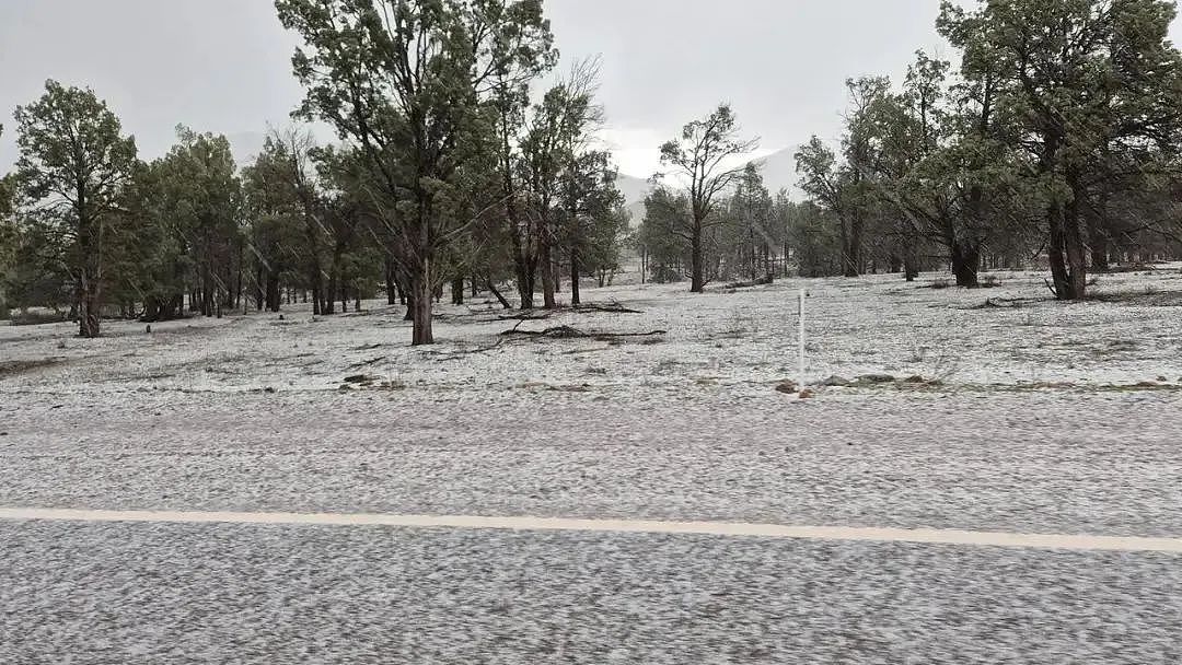 南澳内陆遭冰雹覆盖， Flinders Ranges如冬日仙境； 知名音乐节重返阿德！（组图） - 3