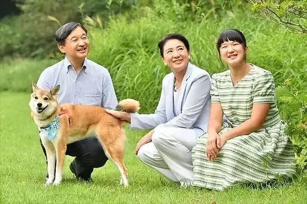 爱子公主的爱来了？驸马三选一：青梅竹马、贵族后代、优质同事...挑花眼了啊！（组图） - 11