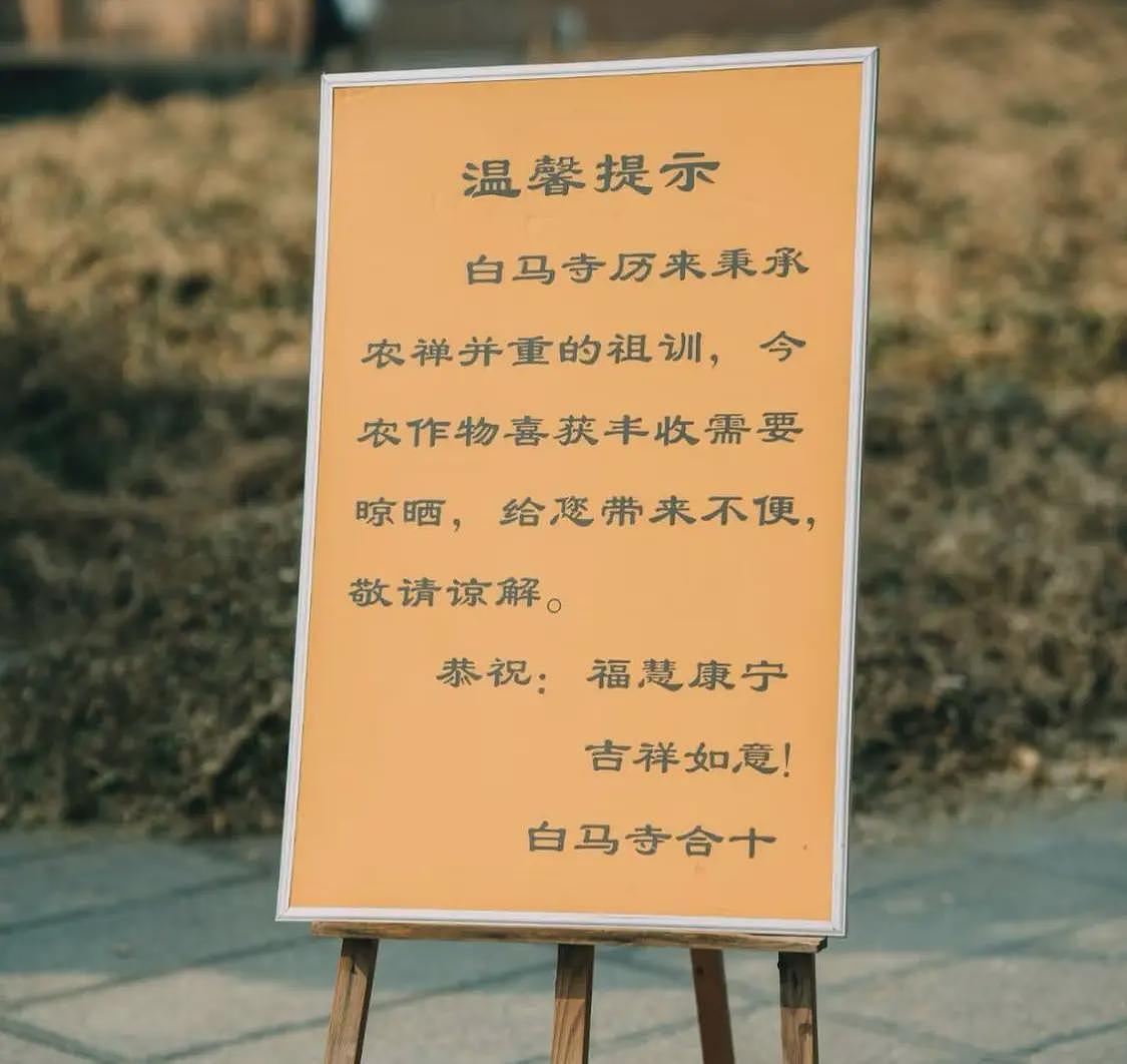 上任不到3天,印乐法师被证实开150万豪车,争议之事不止一件(组图) - 2