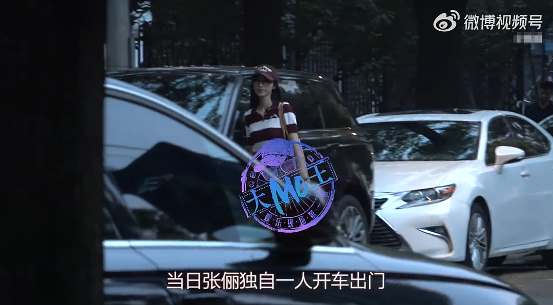 被指遮挡机动车号牌,知名女演员道歉(组图) - 1