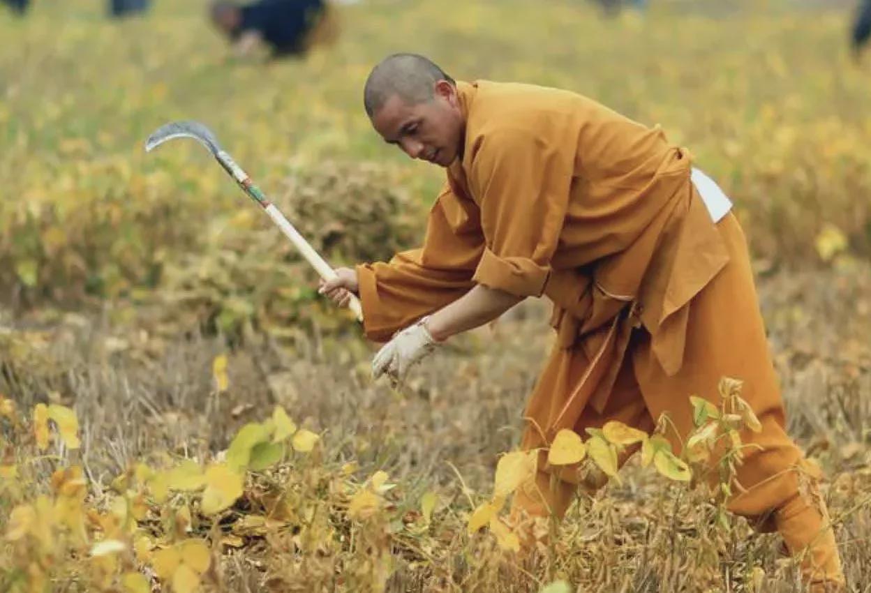 新住持上任少林寺,扫铜臭味,扫码捐款和收费摊没了(组图) - 4
