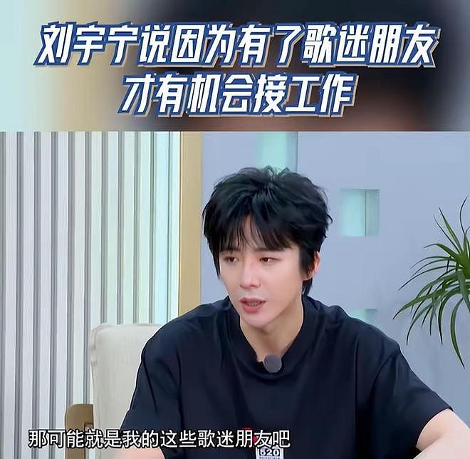 秦海璐慧眼识珠,35岁变了面相的刘宇宁,给娱乐圈男星提了个醒(组图) - 13