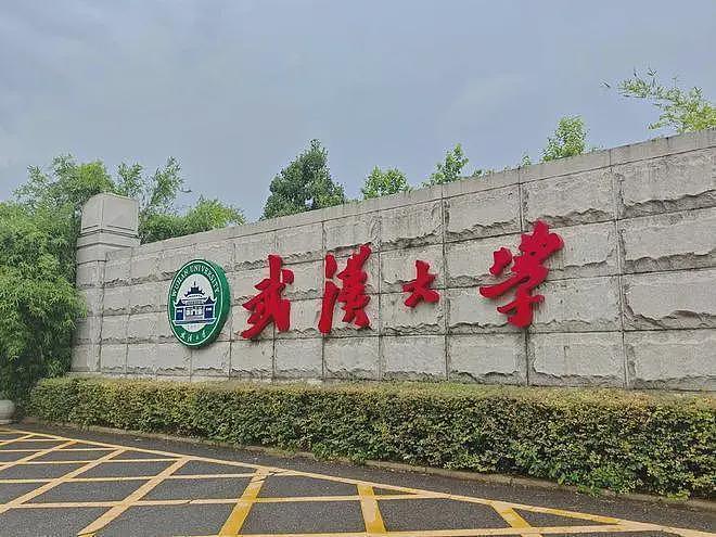 武大杨景媛背景深不可测？网传多次以自杀来威胁审判长，太可怕了（组图） - 4