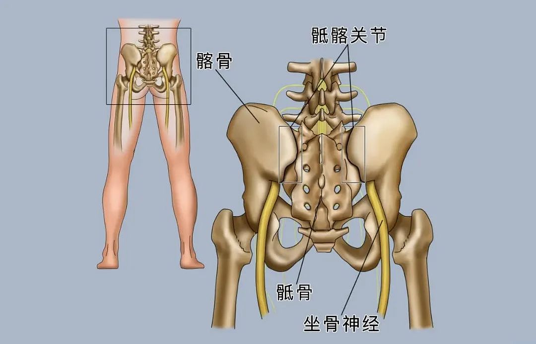 多走路减少腰痛风险，前提是每天走够这个“量”（组图） - 5