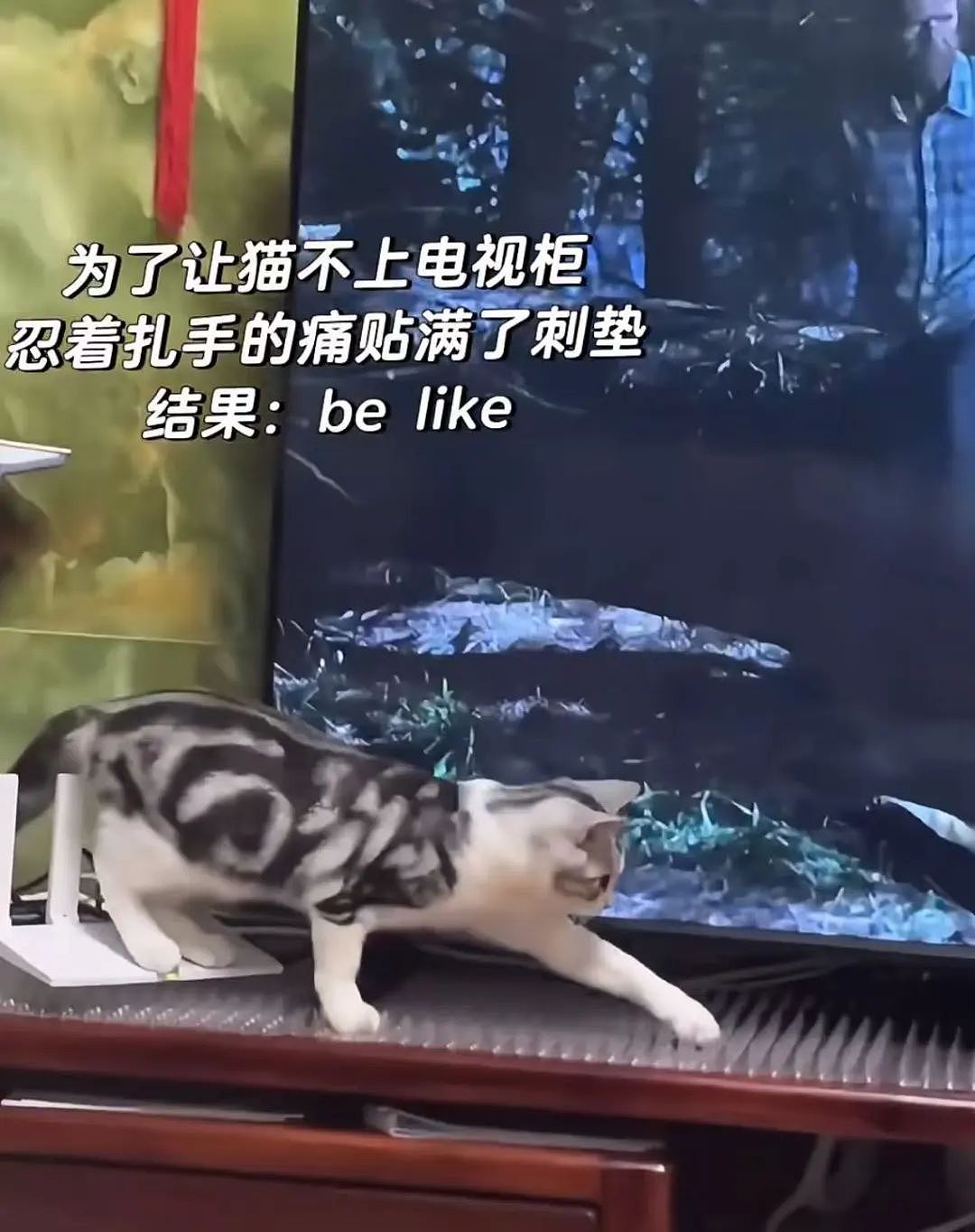 【爆笑】相亲相到原zi弹之父…?哈哈哈出门在外身份都是自己给的(组图) - 45