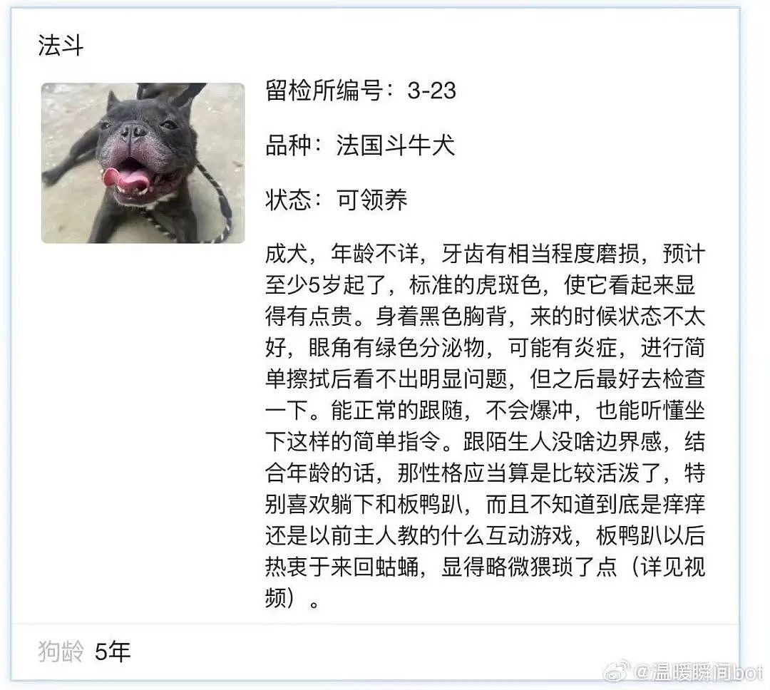 【爆笑】相亲相到原zi弹之父…?哈哈哈出门在外身份都是自己给的(组图) - 66