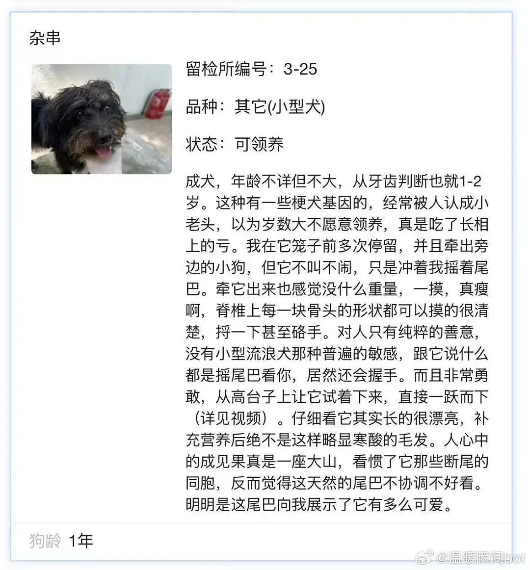 【爆笑】相亲相到原zi弹之父…?哈哈哈出门在外身份都是自己给的(组图) - 67