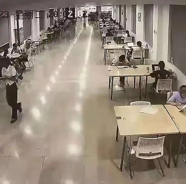 武汉大学:对肖某某纪律处分、杨某某学位论文等进行全面调查复核(组图) - 2