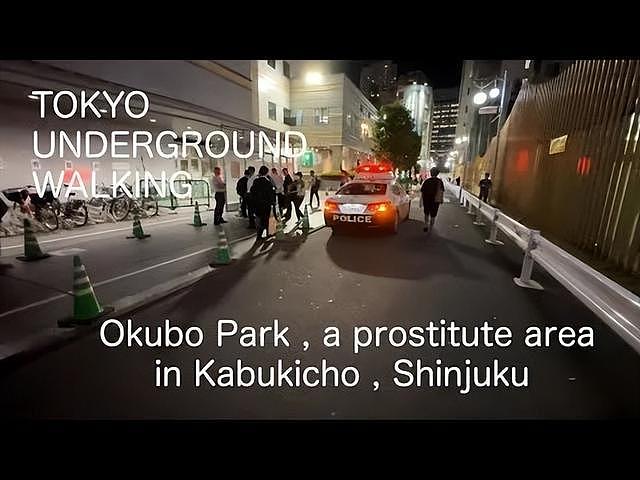 日本“卖春一条街”又火了！站街女专挑外国游客“仙人跳”，2年赚1亿（组图） - 9