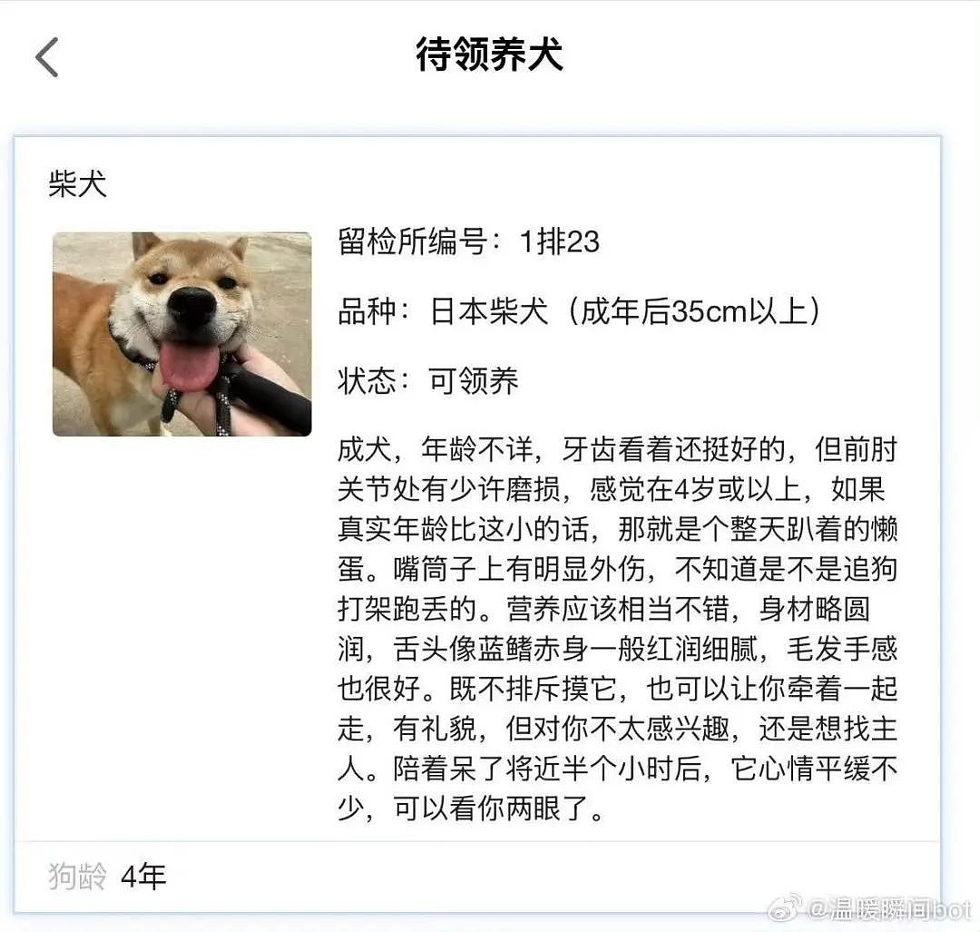 【爆笑】相亲相到原zi弹之父…?哈哈哈出门在外身份都是自己给的(组图) - 64