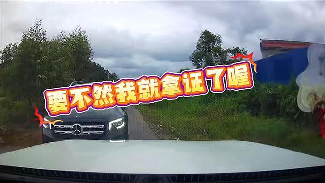 奔驰女亮证后续:车牌疑被扒,来头不小,网友爆料更多!(组图) - 2