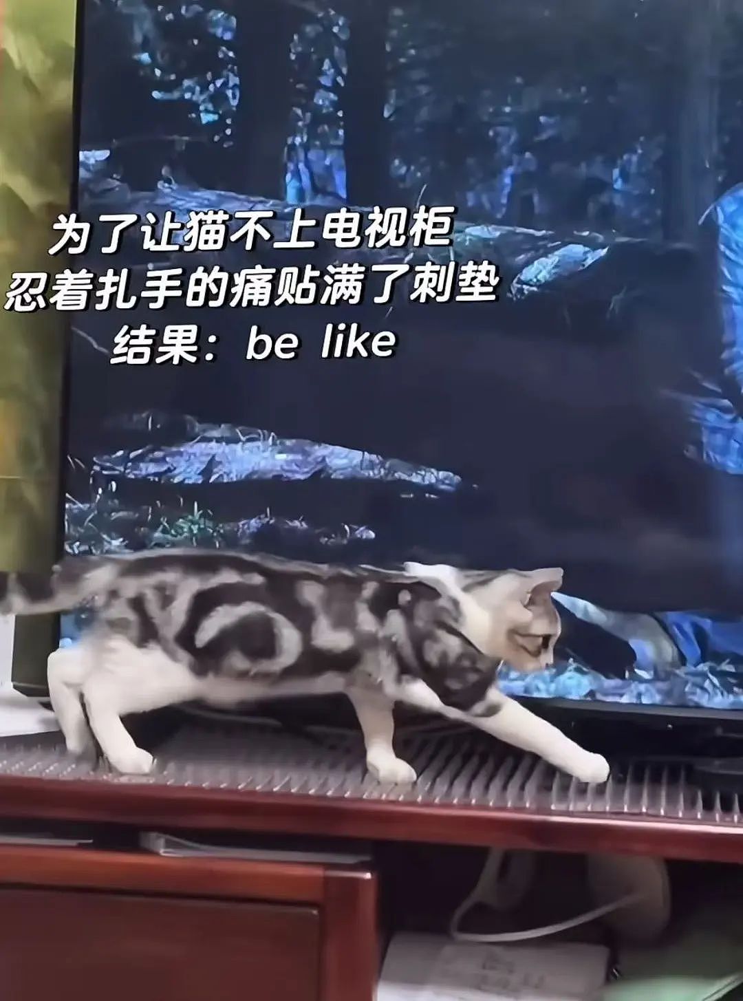 【爆笑】相亲相到原zi弹之父…?哈哈哈出门在外身份都是自己给的(组图) - 46