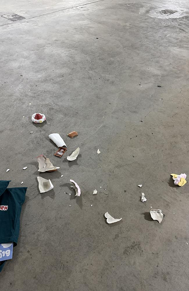 华人刷屏,全澳Bunnings都玩疯了,很多人早上6点就去抢!(组图) - 9