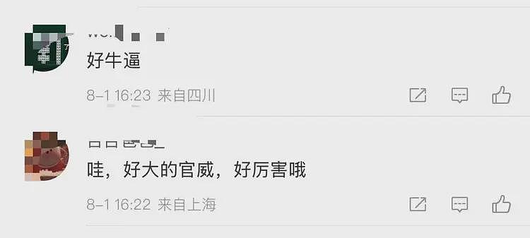 “亮证”的奔驰女究竟什么来头？（组图） - 4