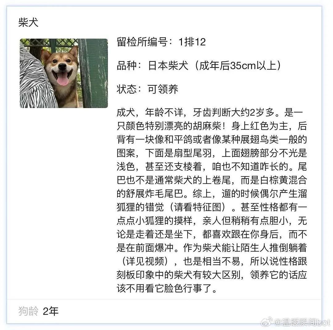 【爆笑】相亲相到原zi弹之父…?哈哈哈出门在外身份都是自己给的(组图) - 69