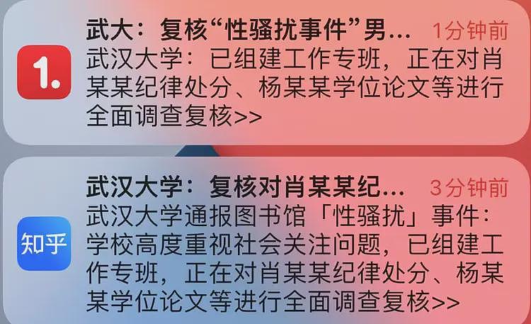 武大杨景媛这事居然还迎来了精彩反转和补刀内幕（组图） - 35
