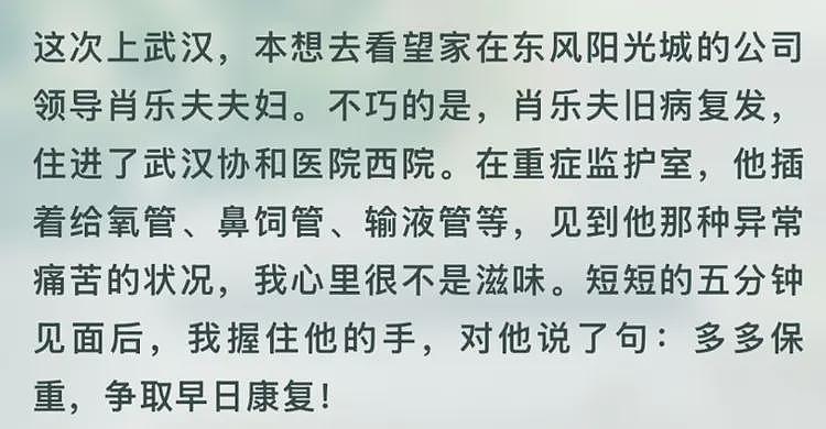 武大杨景媛这事居然还迎来了精彩反转和补刀内幕（组图） - 17