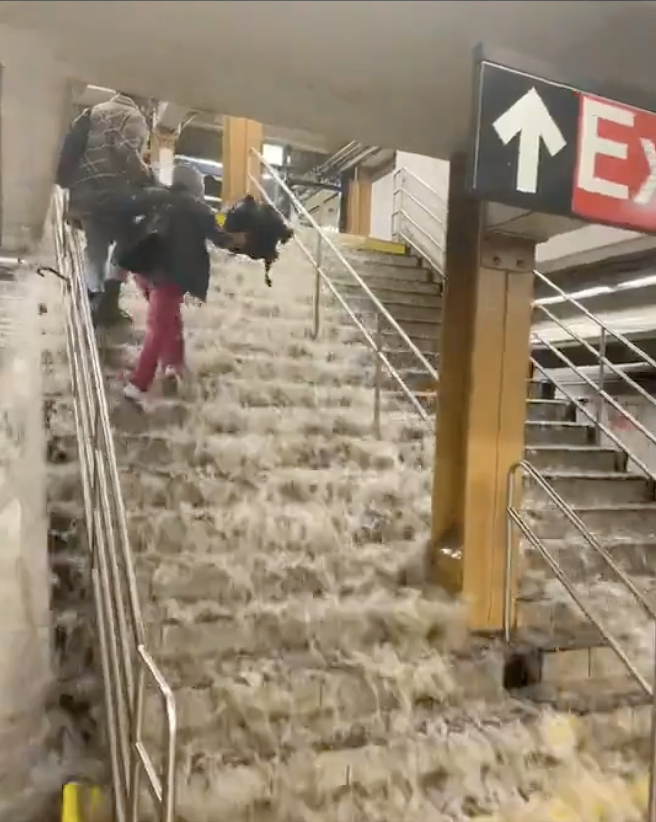 纽约暴雨成灾地铁站成泽国,乘客紧握栏杆一个个爬出站(视频/组图) - 3