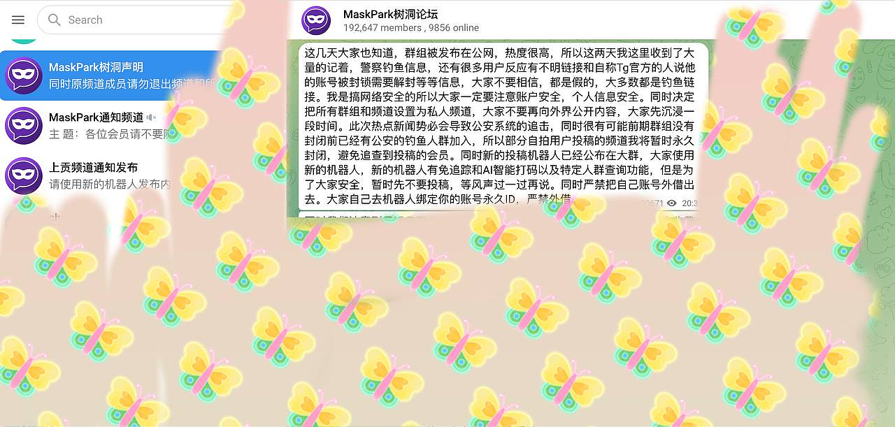 “平均5元一个，面部和隐私部位同时露出来，价格更高”中国万名女性堕入偷拍暗网（组图） - 14