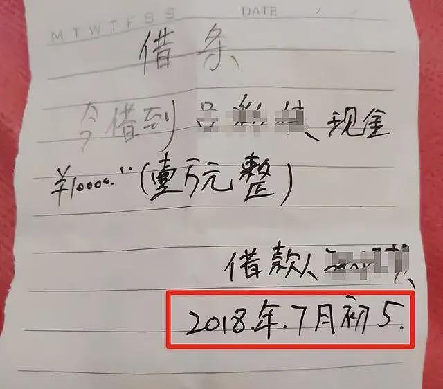 丈夫出轨外甥女后续！借孕逼宫，亲生孩子成帮凶，更恶心内幕曝光（组图） - 12