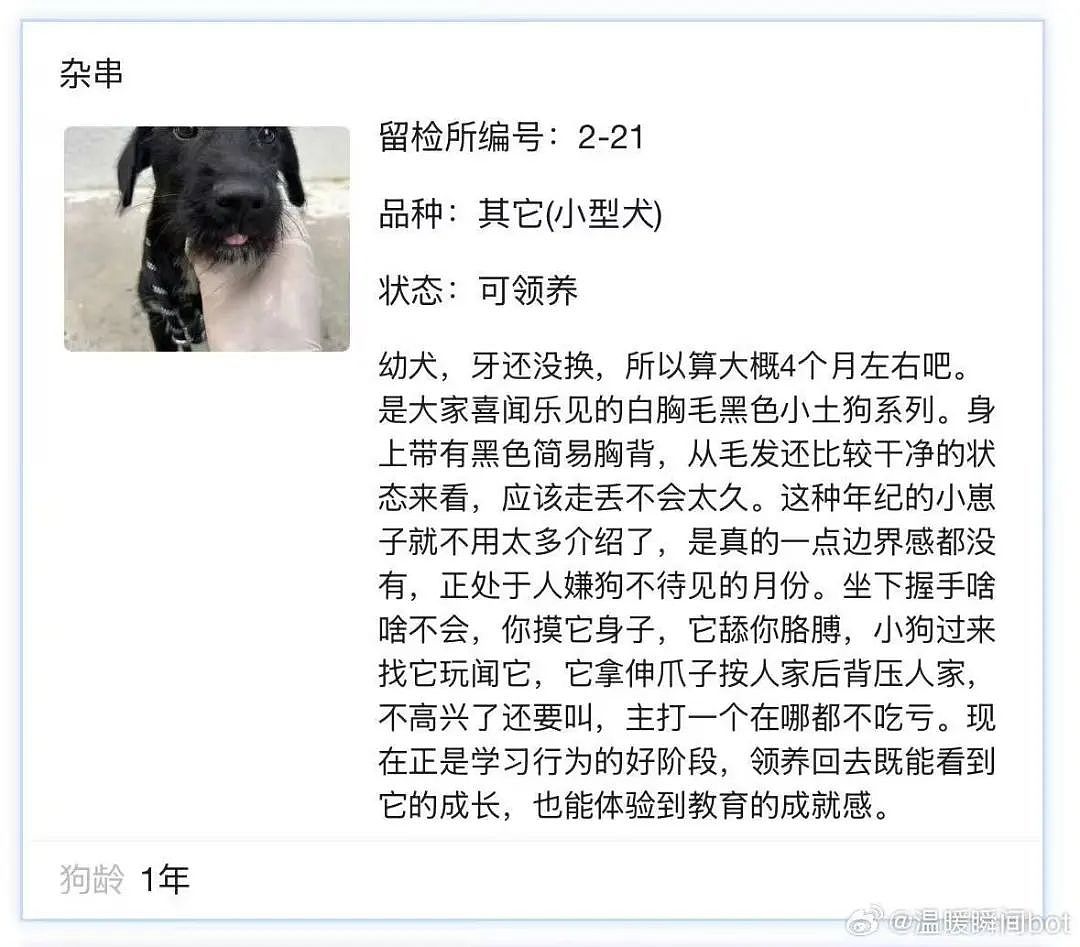 【爆笑】相亲相到原zi弹之父…?哈哈哈出门在外身份都是自己给的(组图) - 68