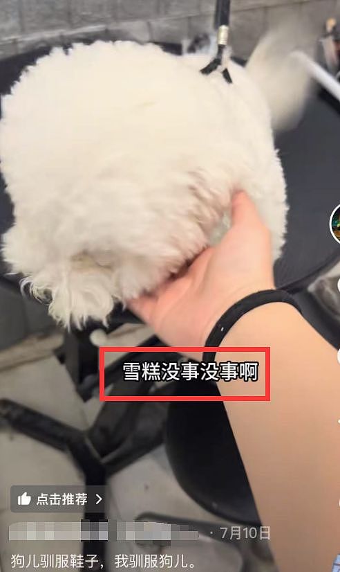 曝张雪峰婚内出轨员工!女方社媒账号被扒,疑粉丝群内自曝包养细节(组图) - 3