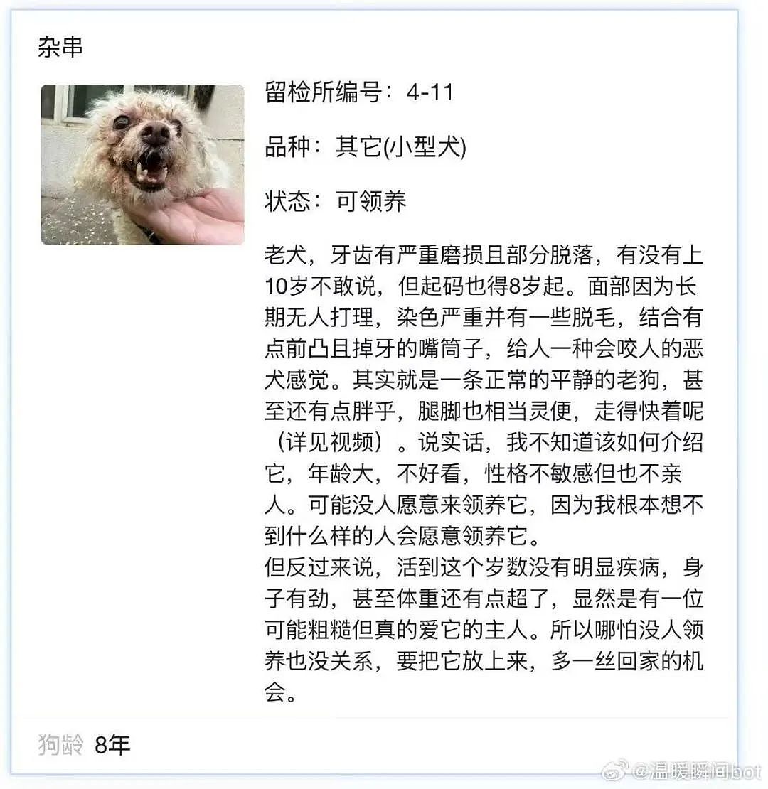 【爆笑】相亲相到原zi弹之父…?哈哈哈出门在外身份都是自己给的(组图) - 65