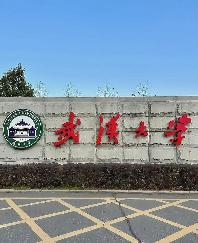 武大杨景媛风波再逆转！多位大V发声力挺，认为男方疑点太多（组图） - 7