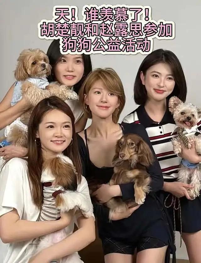 赵露思跟公司矛盾升级！本人疑似被雪藏无戏可拍，8月行程都没有（组图） - 13