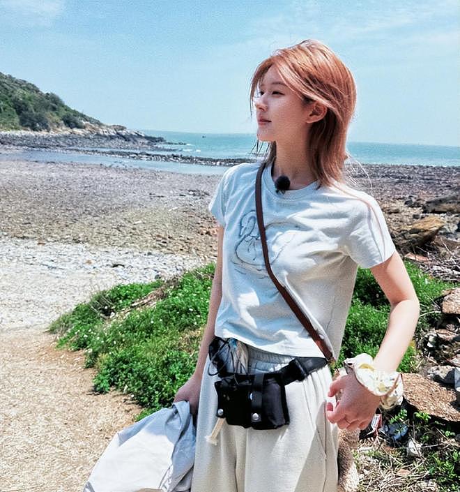 银河酷娱发声明称不存在违法行为,赵露思火速反击,内涵对方绿茶(组图) - 1