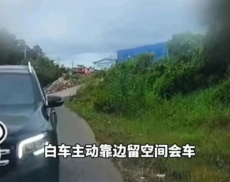 爆火的“奔驰亮证姐”什么人?记者致电问官方身份回应给我气吐血(组图) - 2